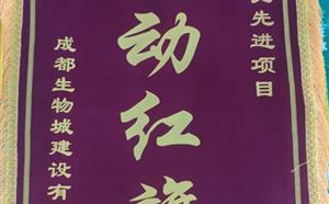 熱烈祝賀人才公寓項目獲得質量、安全雙“流動紅旗”
